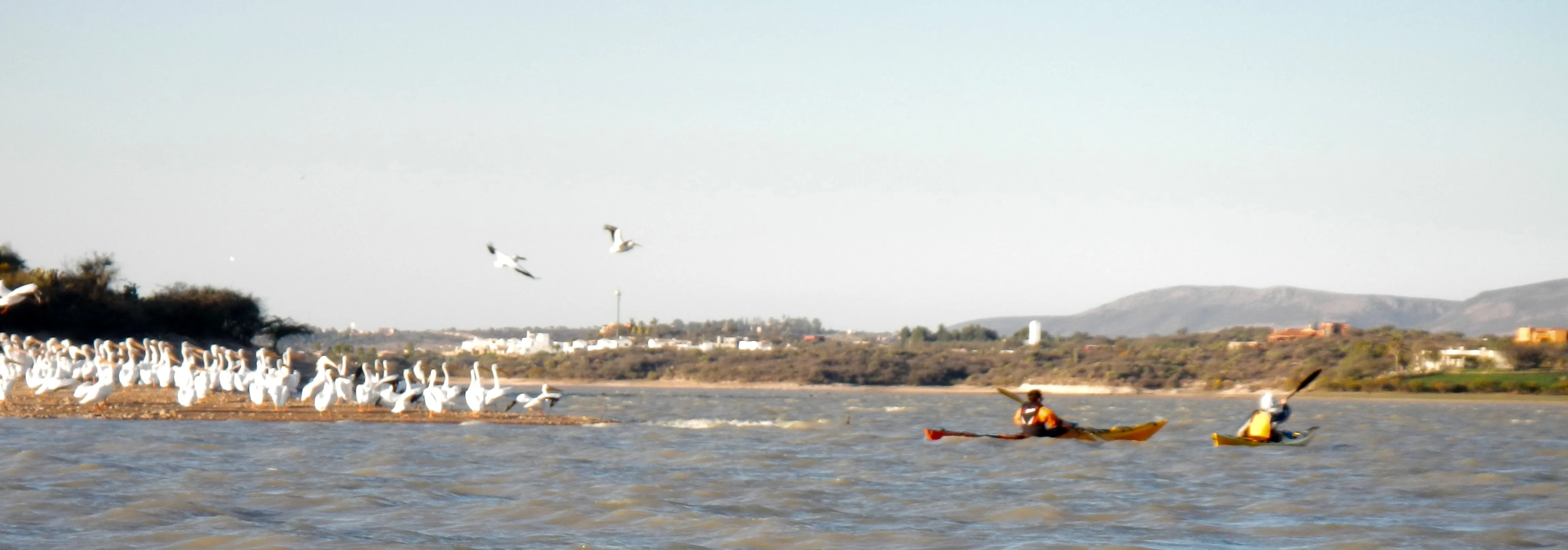 Sendero de observación de aves